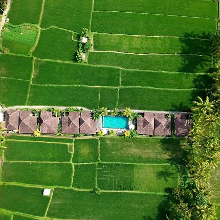 Pajar House Ubud Suite & Villas エクステリア 写真