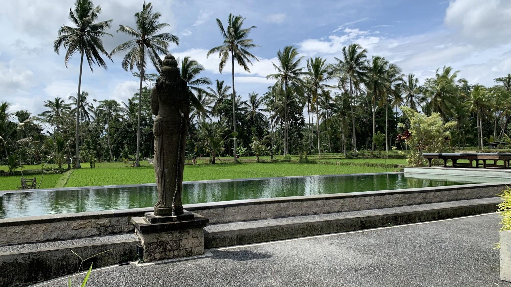 Pajar House Ubud Suite & Villas エクステリア 写真