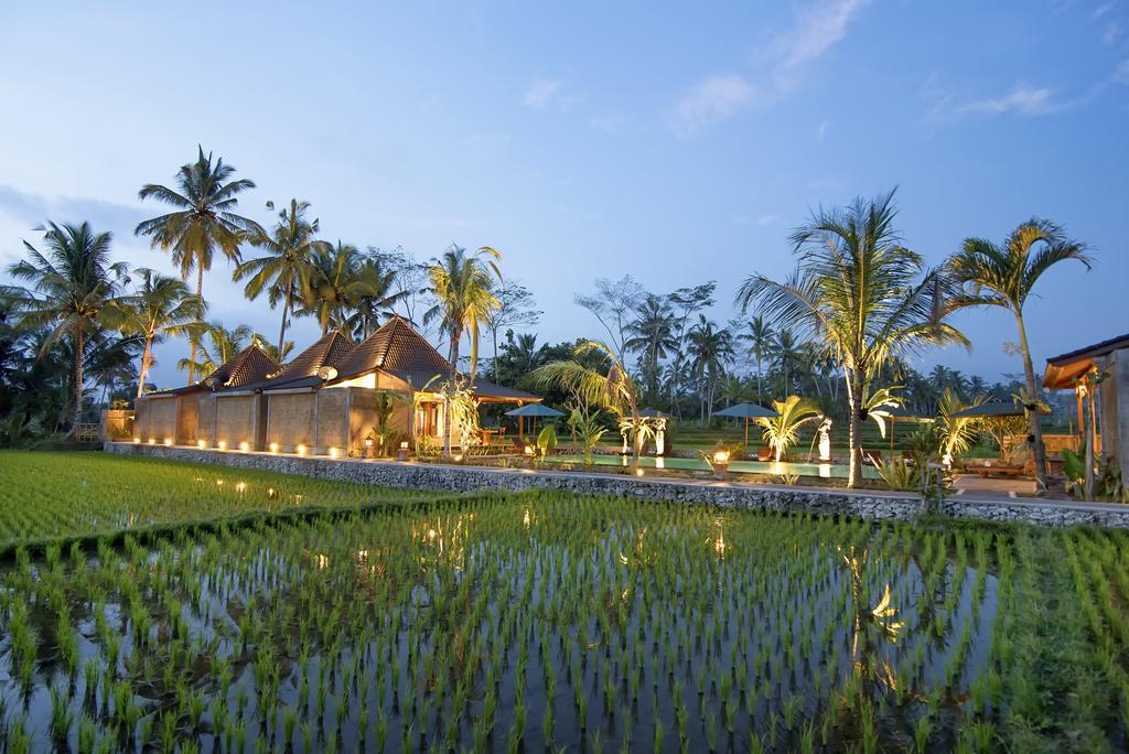 Pajar House Ubud Suite & Villas 部屋 写真