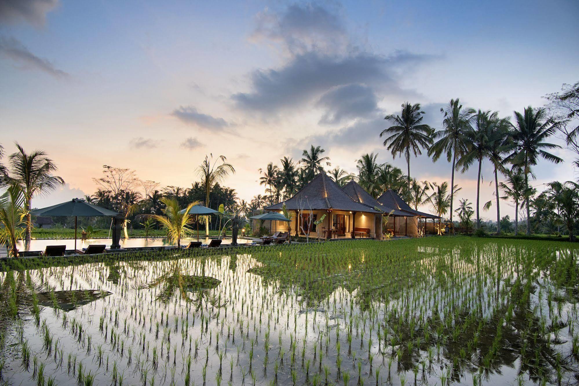 Pajar House Ubud Suite & Villas エクステリア 写真