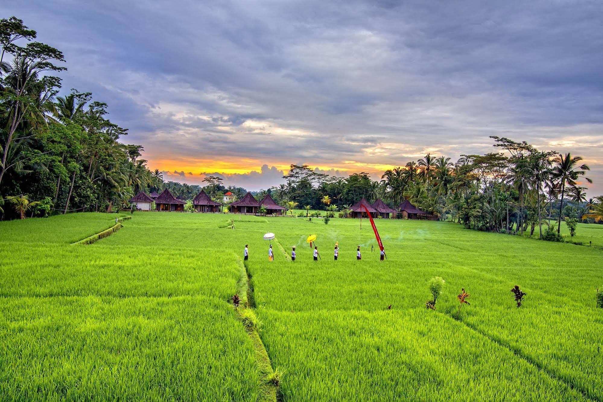 Pajar House Ubud Suite & Villas エクステリア 写真