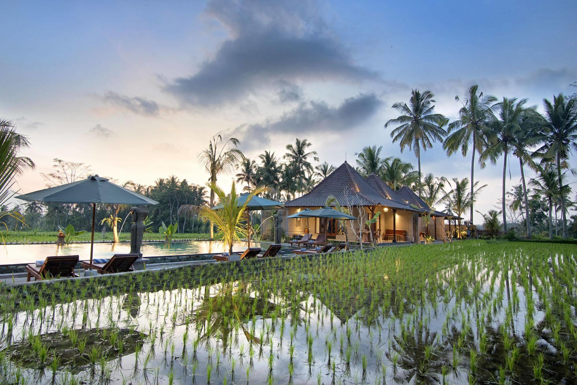 Pajar House Ubud Suite & Villas エクステリア 写真